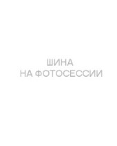 Шины Tunga 185/60 r15 Nordway 3 84Q Шипы Шины Tunga 185/60 r15 Nordway 3 84Q Шипы